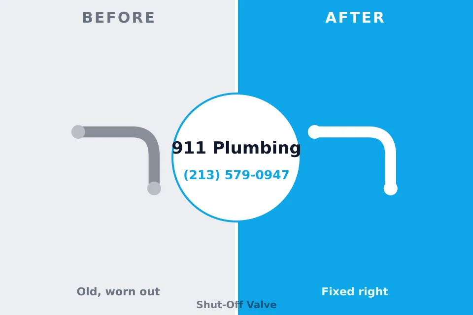 Before and after: plumbing repair Kaanapali, HI